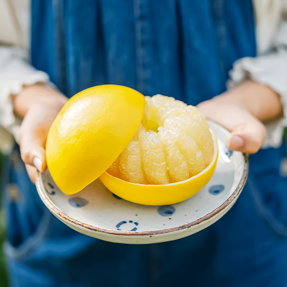 温室土佐文旦 ブンタン ぶんたん 特選 約3kg 約3キロ 5～6個 2L～3Lサイズ 柑橘 かんきつ 柑橘類 フルーツ 果物 くだもの デザート スイーツ おやつ 贈答 プレゼント ギフト 高橋農園直送 常温 配送 高知県 高知 土佐市