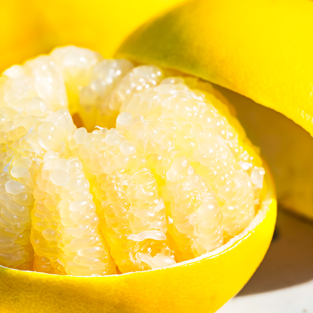 温室土佐文旦 ブンタン ぶんたん 特選 約3kg 約3キロ 5～6個 2L～3Lサイズ 柑橘 かんきつ 柑橘類 フルーツ 果物 くだもの デザート スイーツ おやつ 贈答 プレゼント ギフト 高橋農園直送 常温 配送 高知県 高知 土佐市