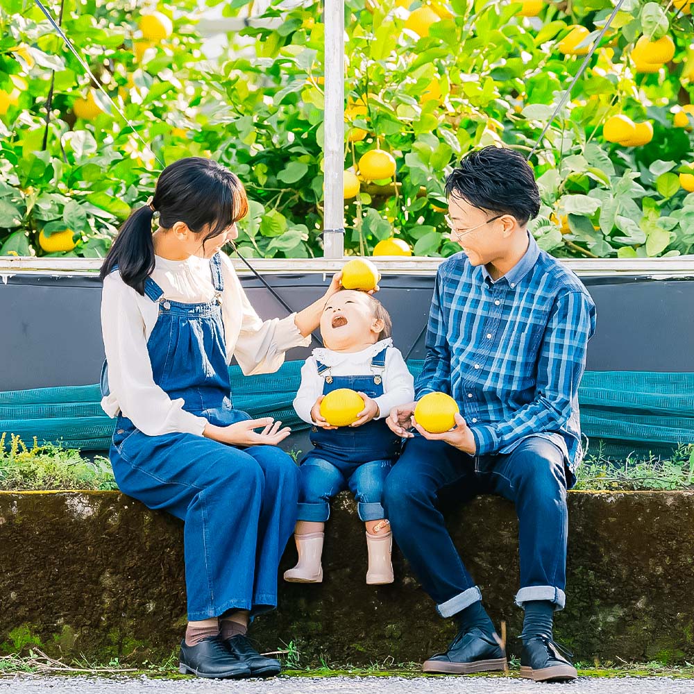 温室土佐文旦 ブンタン ぶんたん 特選 約3kg 約3キロ 5～6個 2L～3Lサイズ 柑橘 かんきつ 柑橘類 フルーツ 果物 くだもの デザート スイーツ おやつ 贈答 プレゼント ギフト 高橋農園直送 常温 配送 高知県 高知 土佐市