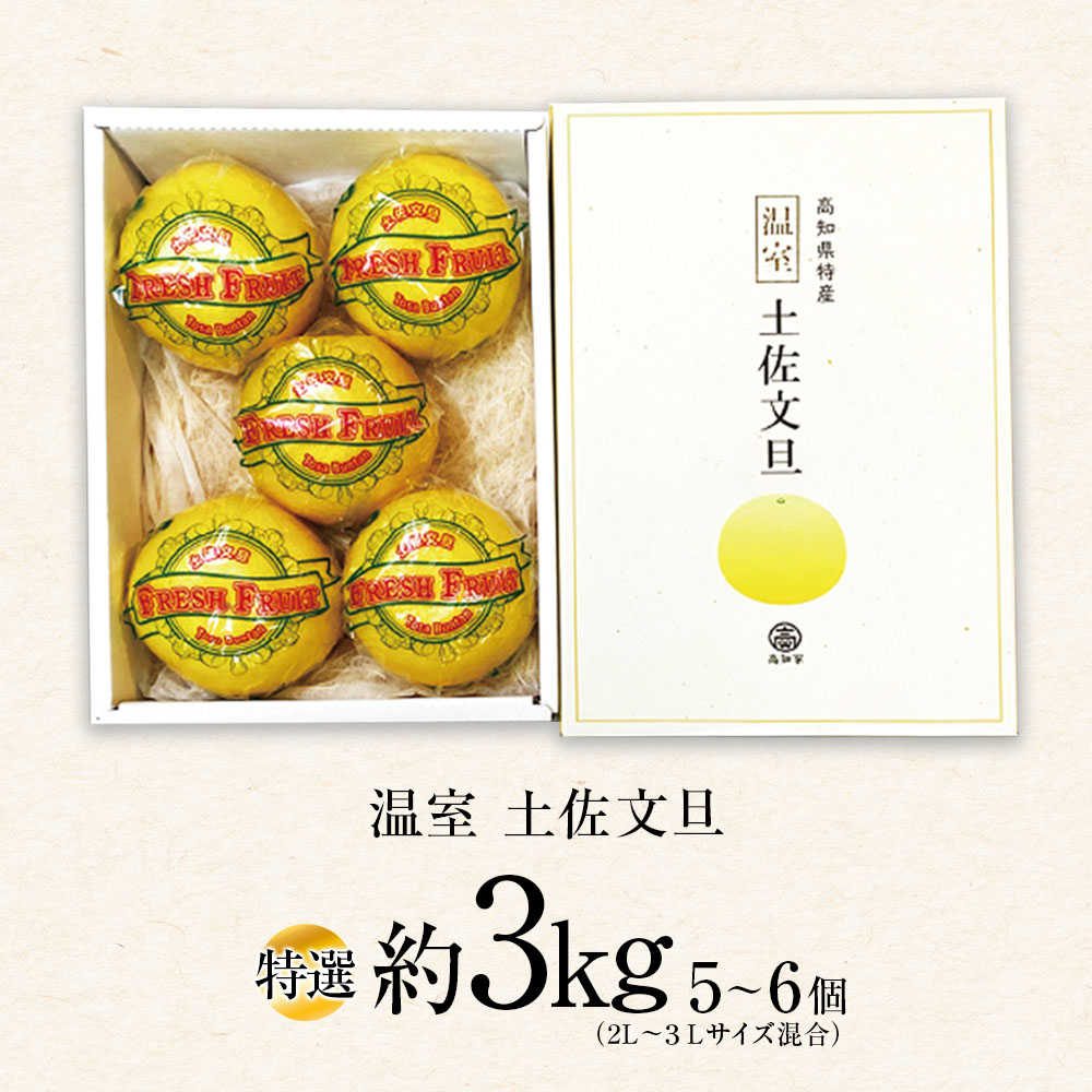 温室土佐文旦 ブンタン ぶんたん 特選 約3kg 約3キロ 5～6個 2L～3Lサイズ 柑橘 かんきつ 柑橘類 フルーツ 果物 くだもの デザート スイーツ おやつ 贈答 プレゼント ギフト 高橋農園直送 常温 配送 高知県 高知 土佐市