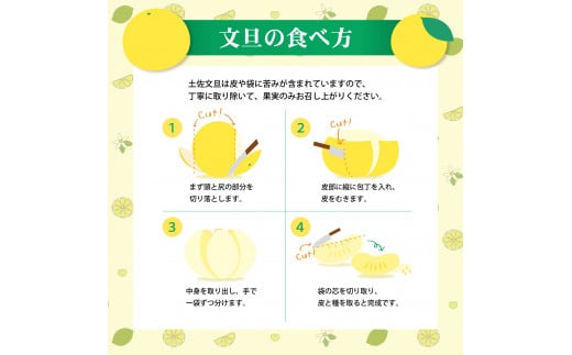 温室土佐文旦 ブンタン ぶんたん 特選 約3kg 約3キロ 5～6個 2L～3Lサイズ 柑橘 かんきつ 柑橘類 フルーツ 果物 くだもの デザート スイーツ おやつ 贈答 プレゼント ギフト 高橋農園直送 常温 配送 高知県 高知 土佐市