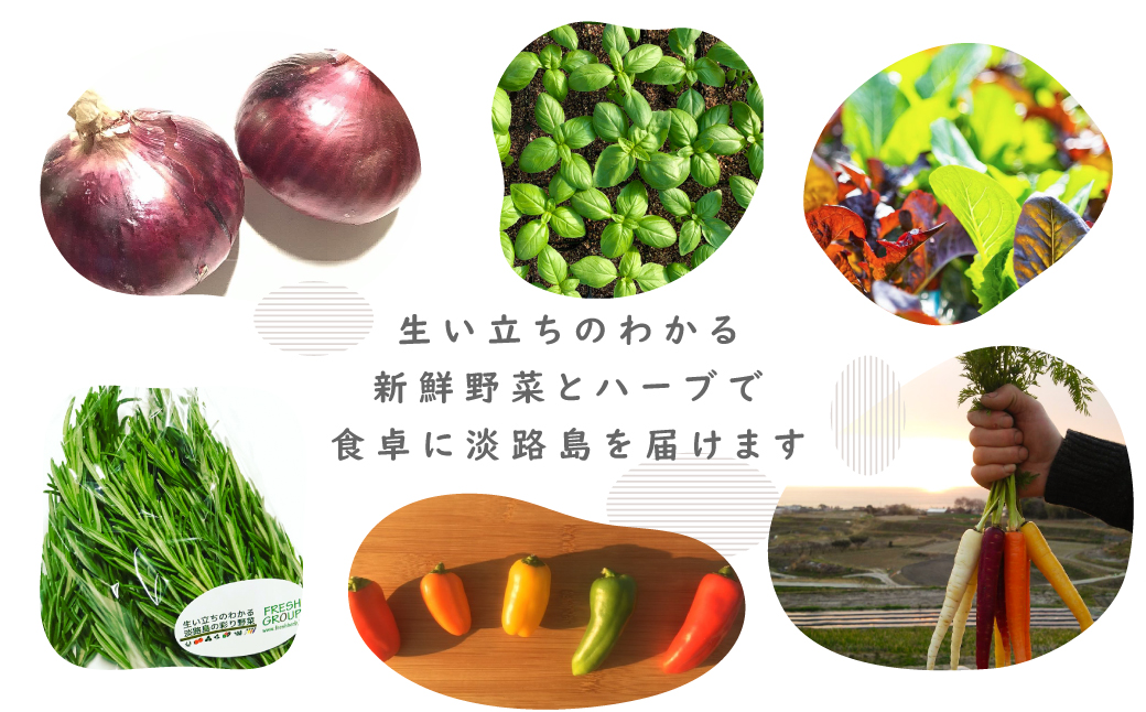 フレッシュグループ淡路島彩り野菜と香るハーブセット　[野菜セット 野菜詰め合わせ]