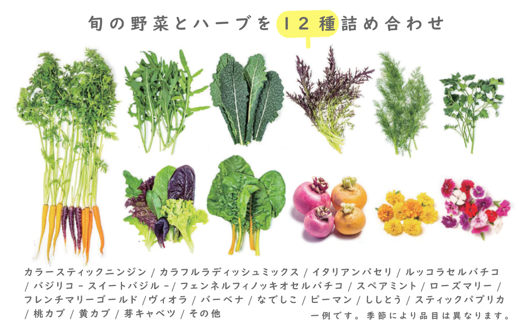 フレッシュグループ淡路島彩り野菜と香るハーブセット　[野菜セット 野菜詰め合わせ]