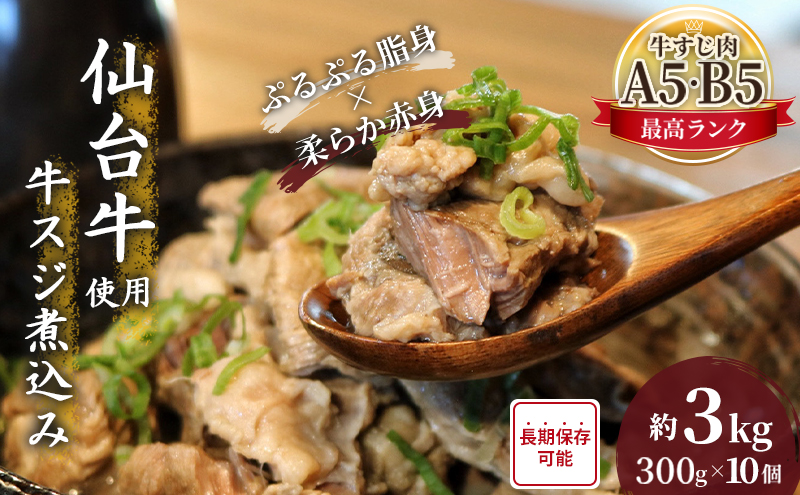 y{錧szύ 3kg (300g×10) Zbg lߍ킹 䋍 Y  Y Y      ύ y wYsgp ۑsgp   {C   т̂ ͂̂ { {錧 s