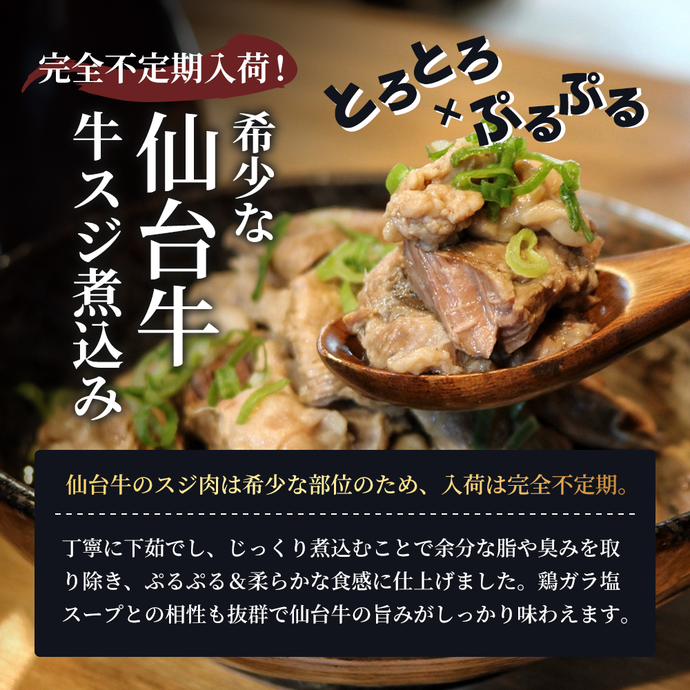牛すじ煮込み 3kg (300g×10個) セット 詰め合わせ 仙台牛 国産 牛 国産牛 国産牛肉 牛肉 肉 お肉 牛すじ 牛筋 煮込み 惣菜 化学合成添加物不使用 保存料不使用 湯煎 湯せん ボイル 牛すじ肉 すじ肉 ご飯のお供 ごはんのお供 宮城 宮城県 岩沼市