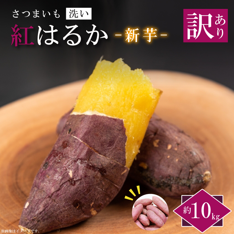 ★訳あり★【2025年9月より順次発送】農産物直売所「やさいの声」紅はるか 新芋 洗い 約10kg|訳ありさつまいも サツマイモ 紅はるか 洗い 行方市 ふるさと納税(EK-10)