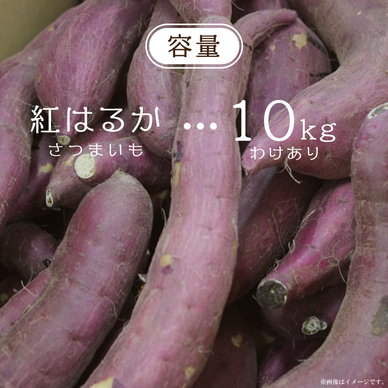 ★訳あり★【2025年9月より順次発送】農産物直売所「やさいの声」紅はるか 新芋 洗い 約10kg|訳ありさつまいも サツマイモ 紅はるか 洗い 行方市 ふるさと納税(EK-10)