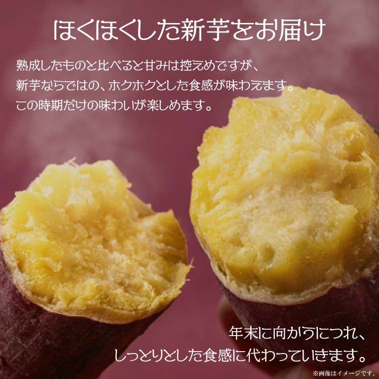 ★訳あり★【2025年9月より順次発送】農産物直売所「やさいの声」紅はるか 新芋 洗い 約10kg|訳ありさつまいも サツマイモ 紅はるか 洗い 行方市 ふるさと納税(EK-10)