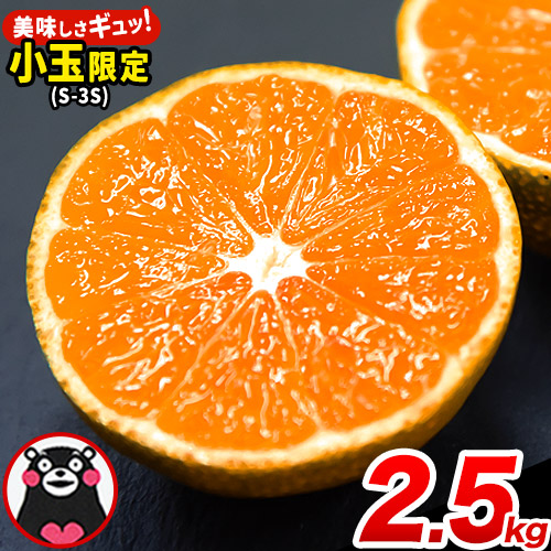 訳あり みかん 小玉みかん くまもと小玉み