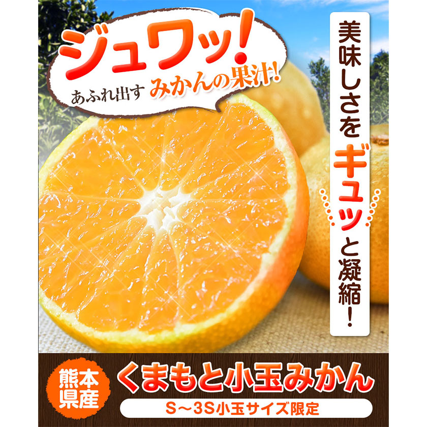 熊本県長洲町のふるさと納税 訳あり みかん 小玉みかん くまもと小玉みかん 2.5kg (2.5kg×1箱) 秋 旬 不揃い 傷 ご家庭用 SDGs 小玉 たっぷり 熊本県 産 S-3Sサイズ フルーツ 旬 柑橘 長洲町 温州みかん《2025年10月中旬-12月末頃出荷》