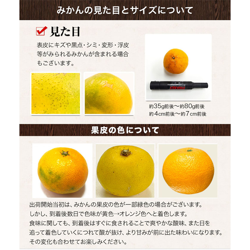 熊本県長洲町のふるさと納税 訳あり みかん 小玉みかん くまもと小玉みかん 2.5kg (2.5kg×1箱) 秋 旬 不揃い 傷 ご家庭用 SDGs 小玉 たっぷり 熊本県 産 S-3Sサイズ フルーツ 旬 柑橘 長洲町 温州みかん《2025年10月中旬-12月末頃出荷》