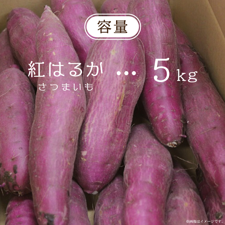 【2026年1月より順次発送】農産物直売所「やさいの声」熟成紅はるか 洗い 約5kg|さつまいも サツマイモ 紅はるか 熟成 洗い 行方市 ふるさと納税(EK-12)
