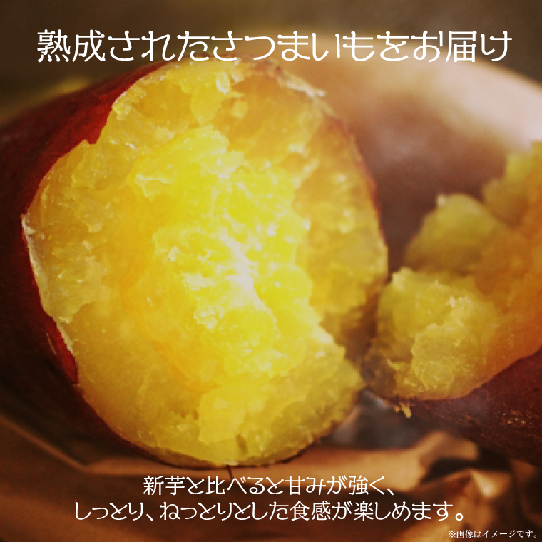 ★訳あり★【2026年1月より順次発送】【訳あり】農産物直売所「やさいの声」熟成紅はるか　洗い　約10kg|さつまいも サツマイモ 紅はるか 熟成 洗い 行方市 ふるさと納税(EK-13)