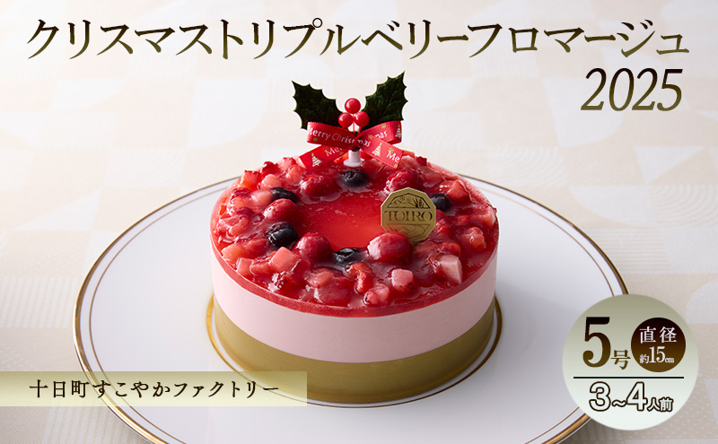 yV\szNX}Xgvx[t}[Wi5Ea15cmjb\₩t@Ng[ AM[Ή 茴ޗsgp NX}XP[L t}[W z[ P[L mَq XC[c V