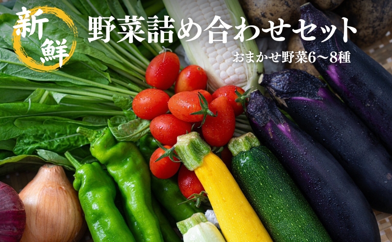 ys{OszVN  lߍ킹 Zbg