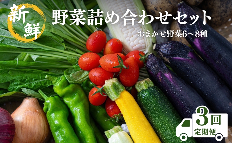 ys{Oszy3zVN  lߍ킹 Zbg