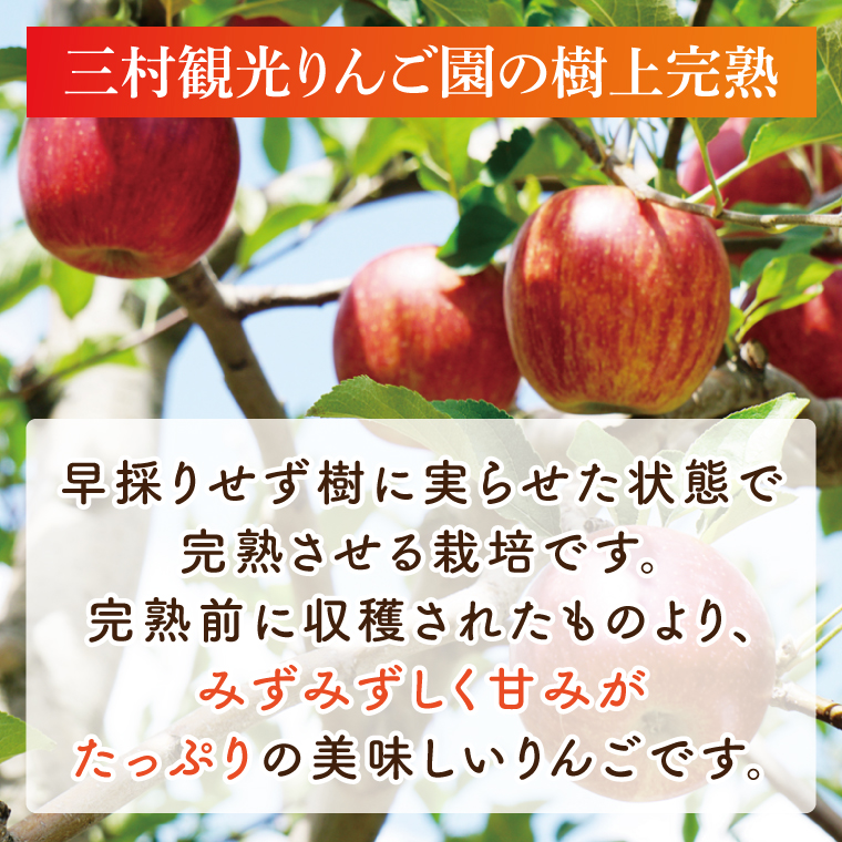 【三村観光りんご園】樹上完熟 奥久慈りんごジュース 200ml×5本セット（BX003）