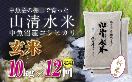 【定期便／全12回】玄米10kg　新潟県魚沼産コシヒカリ「山清水米」十日町市 米