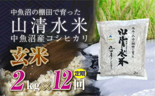 【定期便／全12回】玄米2kg　新潟県魚沼産コシヒカリ「山清水米」十日町市 米