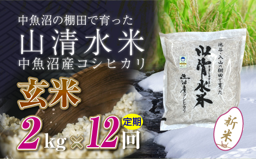 【定期便／全12回】玄米2kg　新潟県魚沼産コシヒカリ「山清水米」十日町市 米