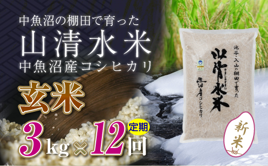 【定期便／全12回】玄米3kg　新潟県魚沼産コシヒカリ「山清水米」十日町市 米