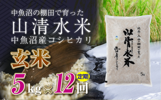 【定期便／全12回】玄米5kg　新潟県魚沼産コシヒカリ「山清水米」十日町市 米