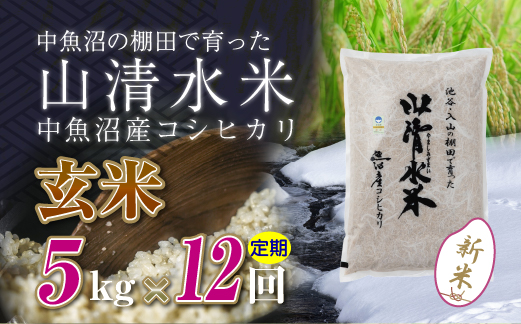 【定期便／全12回】玄米5kg　新潟県魚沼産コシヒカリ「山清水米」十日町市 米