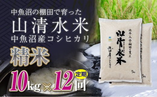 【定期便／全12回】精米10kg　新潟県魚沼産コシヒカリ「山清水米」十日町市 米