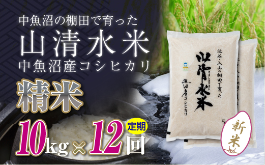 【定期便／全12回】精米10kg　新潟県魚沼産コシヒカリ「山清水米」十日町市 米