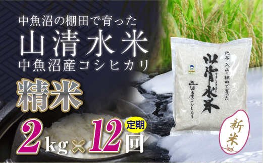 【定期便／全12回】精米2kg　新潟県魚沼産コシヒカリ「山清水米」十日町市 米
