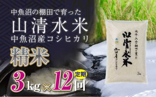 【定期便／全12回】精米3kg　新潟県魚沼産コシヒカリ「山清水米」十日町市 米