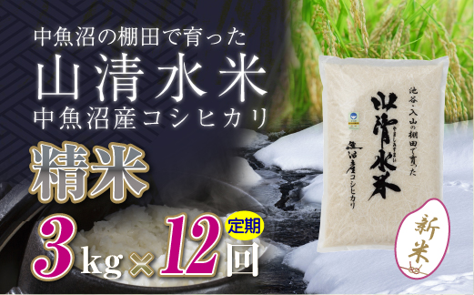 【定期便／全12回】精米3kg　新潟県魚沼産コシヒカリ「山清水米」十日町市 米