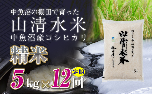 【定期便／全12回】精米5kg　新潟県魚沼産コシヒカリ「山清水米」十日町市 米