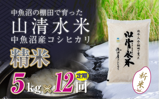 【定期便／全12回】精米5kg　新潟県魚沼産コシヒカリ「山清水米」十日町市 米