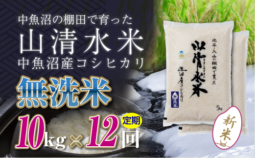 【定期便／全12回】無洗米10kg　新潟県魚沼産コシヒカリ「山清水米」十日町市 米