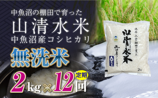 【定期便／全12回】無洗米2kg　新潟県魚沼産コシヒカリ「山清水米」十日町市 米