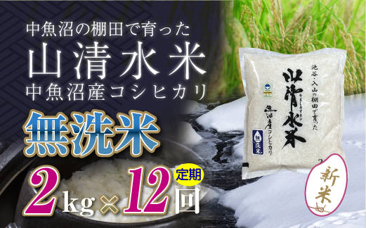 【定期便／全12回】無洗米2kg　新潟県魚沼産コシヒカリ「山清水米」十日町市 米