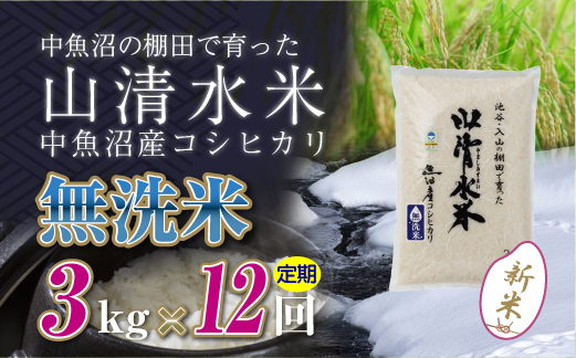 【定期便／全12回】無洗米3kg　新潟県魚沼産コシヒカリ「山清水米」十日町市 米