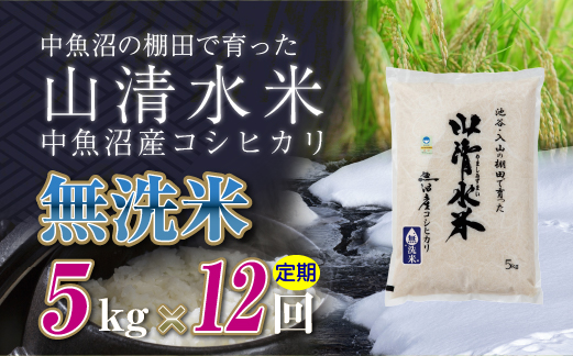 【定期便／全12回】無洗米5kg　新潟県魚沼産コシヒカリ「山清水米」十日町市 米