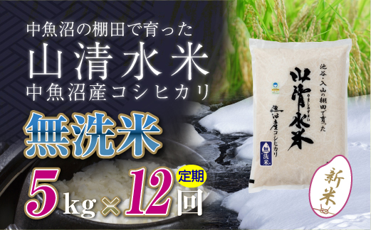 【定期便／全12回】無洗米5kg　新潟県魚沼産コシヒカリ「山清水米」十日町市 米