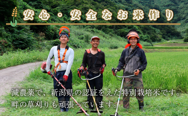 【定期便／全6回】精米10kg　新潟県魚沼産コシヒカリ「山清水米」十日町市 米