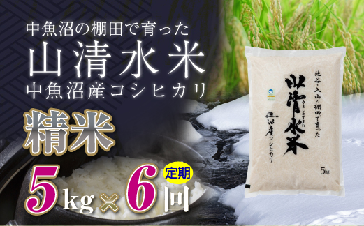【定期便／全6回】精米5kg　新潟県魚沼産コシヒカリ「山清水米」十日町市 米