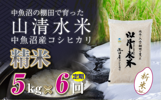 【定期便／全6回】精米5kg　新潟県魚沼産コシヒカリ「山清水米」十日町市 米