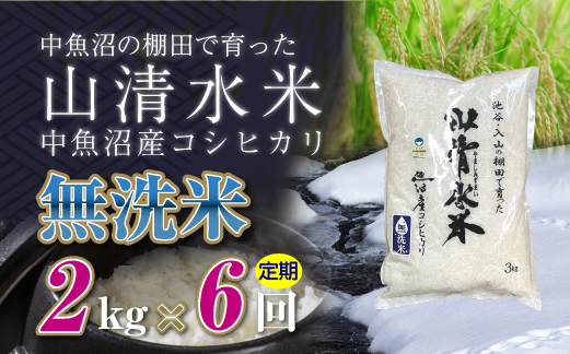 【定期便／全6回】無洗米2kg　新潟県魚沼産コシヒカリ「山清水米」十日町市 米