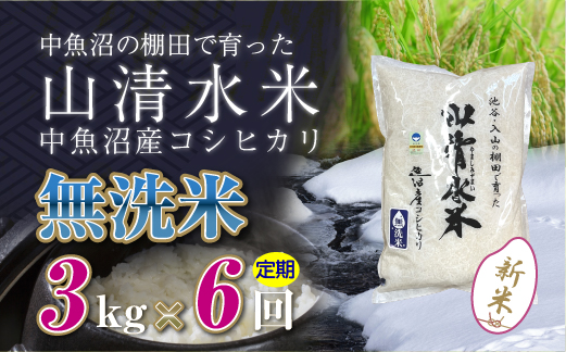 【定期便／全6回】無洗米3kg　新潟県魚沼産コシヒカリ「山清水米」十日町市 米