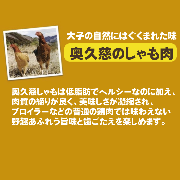 農家レストラン 手作り アップルパイ 4個 奥久慈シャモ ミートパイ 2個 真空パック（BK003-1）