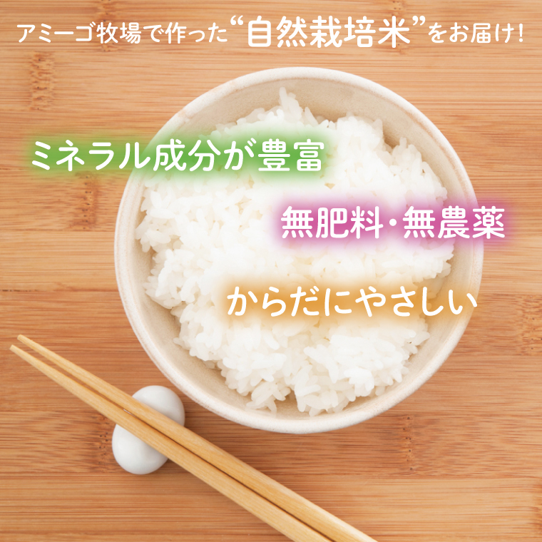 【先行予約】【2025年11月中旬頃順次発送予定】令和7年産 5kg アミーゴ米 【白米】（コシヒカリ・自然栽培米（7年目）・天日干し米）｜茨城県 大子町 米 精米 おだがけ米 はざがけ米 いねかけ米 先行予約 農福連携 コシヒカリ 白米（CA013）