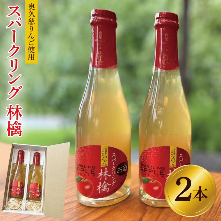 【藤田観光りんご園】スパークリング 林檎 375ml (箱入り)× 2本 セット 果汁50％ ふじりんご100％使用(BJ002)