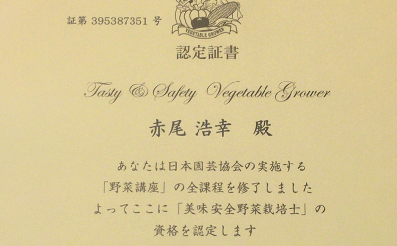 農家直送！こだわりの大玉いちご　約360g×1箱 果物類 フルーツ 果物 