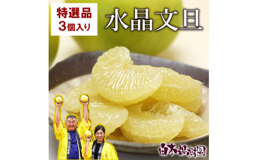 【高知県土佐市】高知県産水晶文旦 特選ご贈答用 2Lサイズ 3個入り ぶんたん ブンタン 水晶文旦 果物 柑橘 フルーツ お取り寄せ 特産品 おいしい